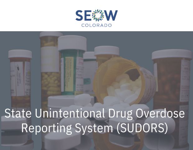 State Unintentional Drug Overdose Reporting System (SUDORS)